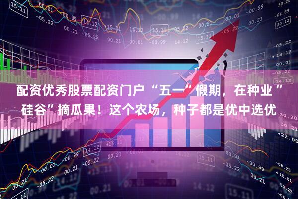 配资优秀股票配资门户 “五一”假期，在种业“硅谷”摘瓜果！这个农场，种子都是优中选优
